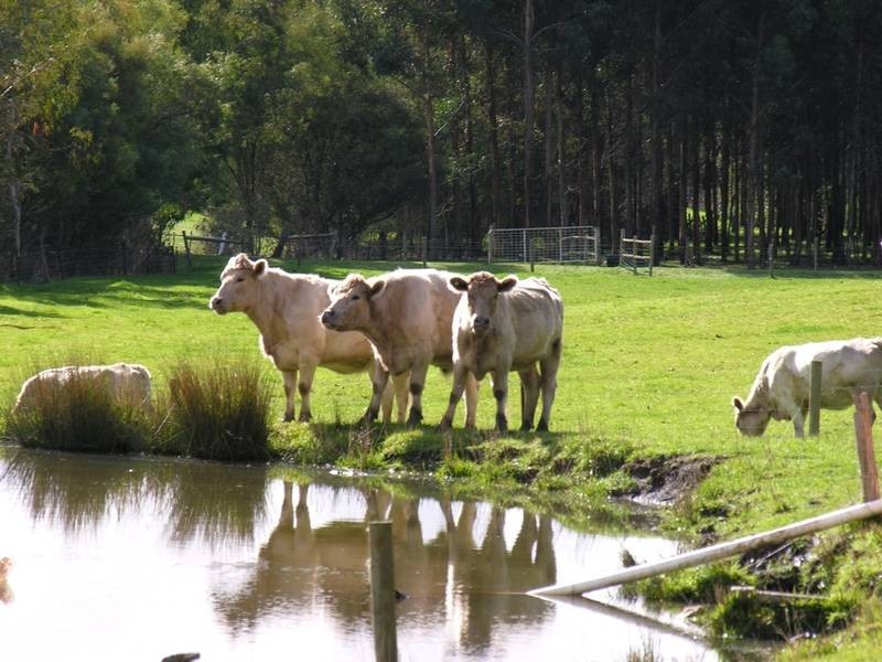 Sec. 224 Lobethal Gumeracha Road, Gumeracha SA 5233
