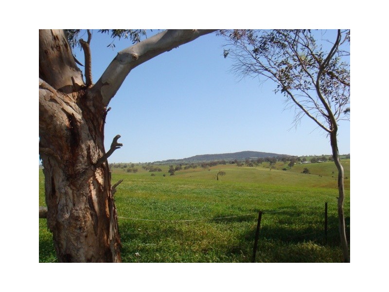 Lot 8 Sawpit Gully Road, Dawesley SA 5252