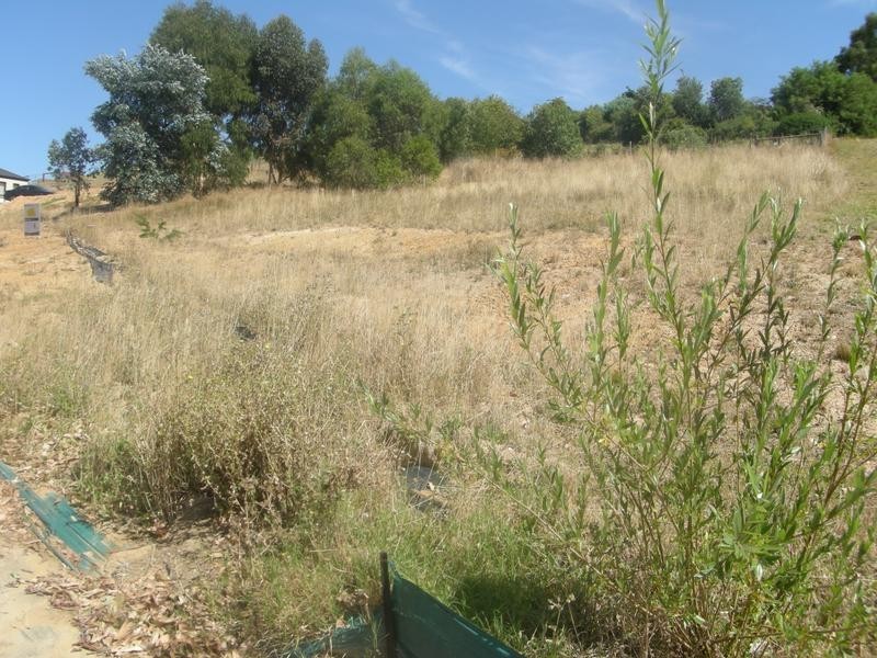 Lot 111 Reuben Pope Court, Mount Barker SA 5251