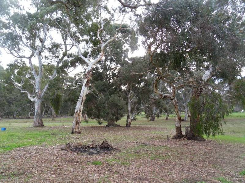 Lot 94 Meadows-Goolwa Road, Ashbourne SA 5157