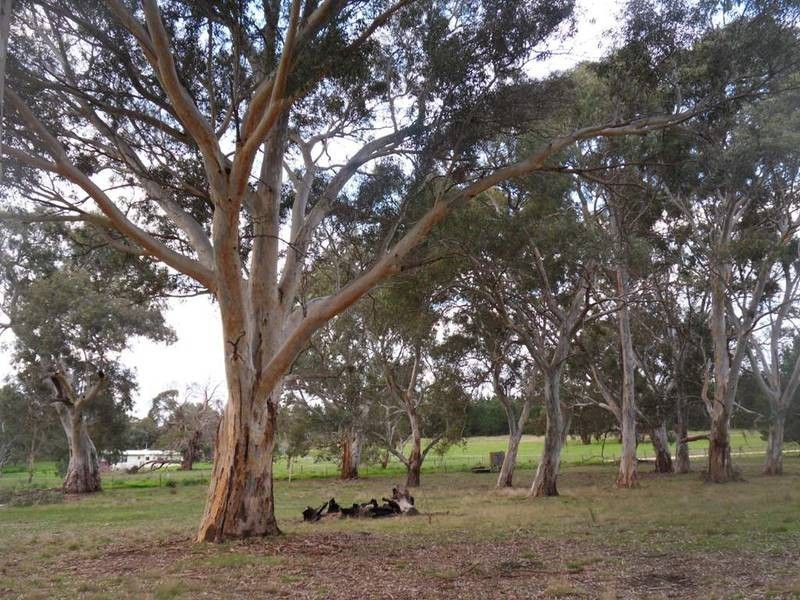 Lot 94 Meadows-Goolwa Road, Ashbourne SA 5157