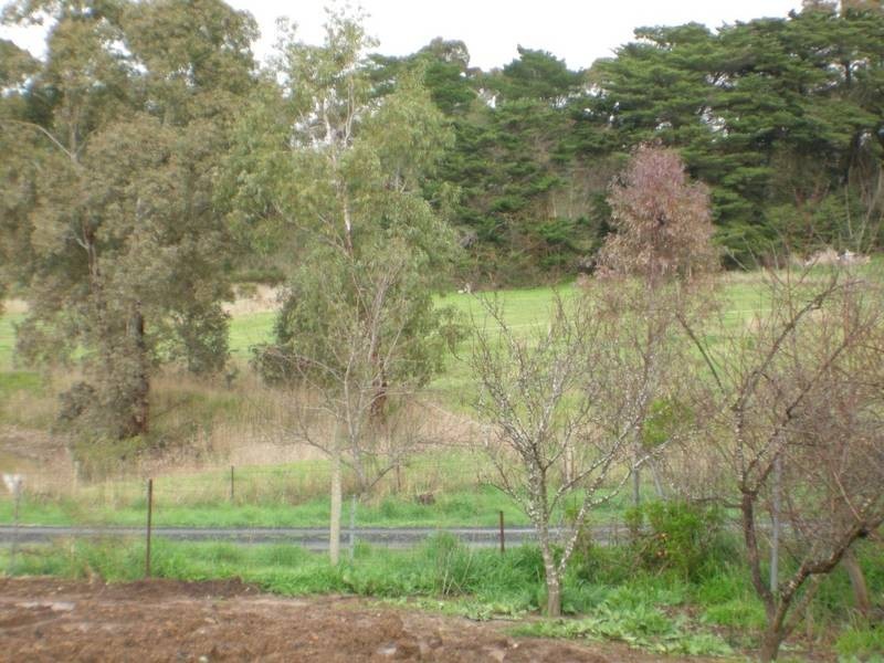 16A Fulford Terrace, Littlehampton SA 5250