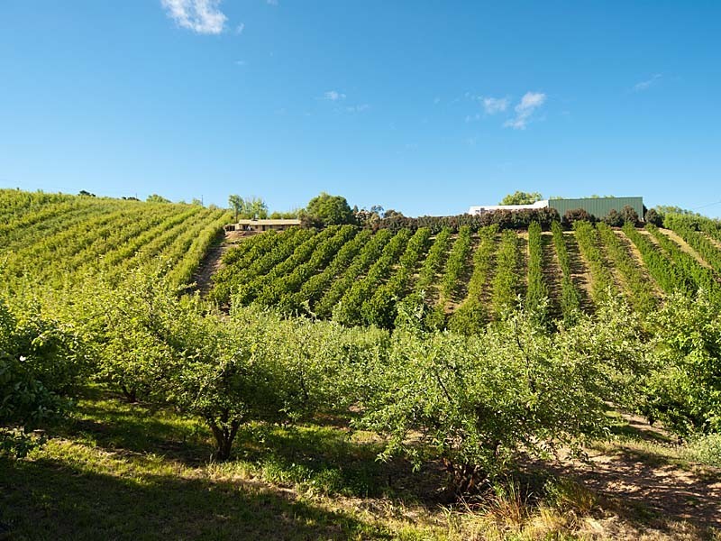 Lot 1 Stentiford Road, Forest Range SA 5139