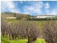 Lot 1 Stentiford Road, Forest Range SA 5139