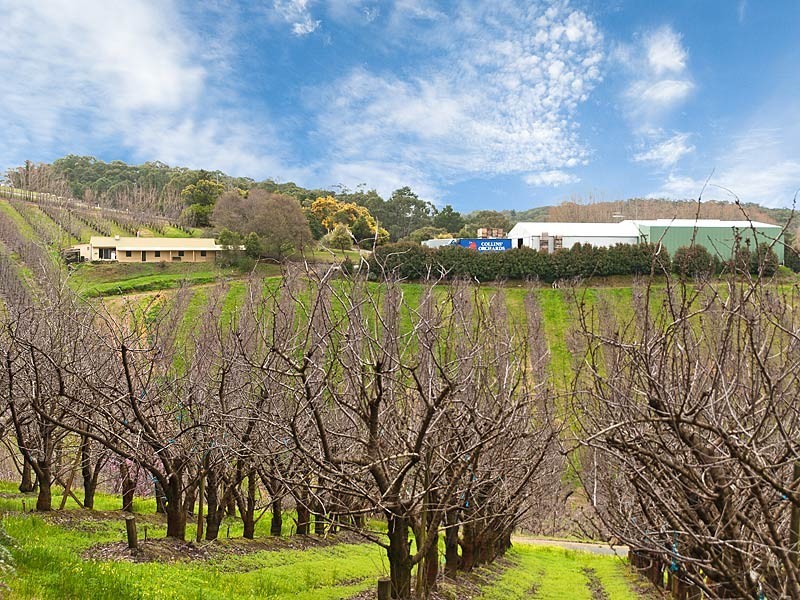 Lot 1 Stentiford Road, Forest Range SA 5139