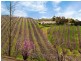 Lot 1 Stentiford Road, Forest Range SA 5139