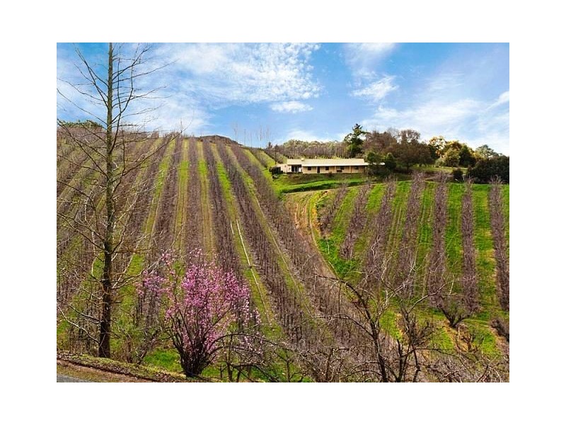 Lot 1 Stentiford Road, Forest Range SA 5139