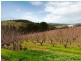 Lot 1 Stentiford Road, Forest Range SA 5139