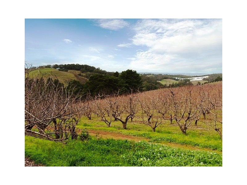 Lot 1 Stentiford Road, Forest Range SA 5139