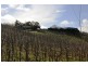 Lot 1 Stentiford Road, Forest Range SA 5139