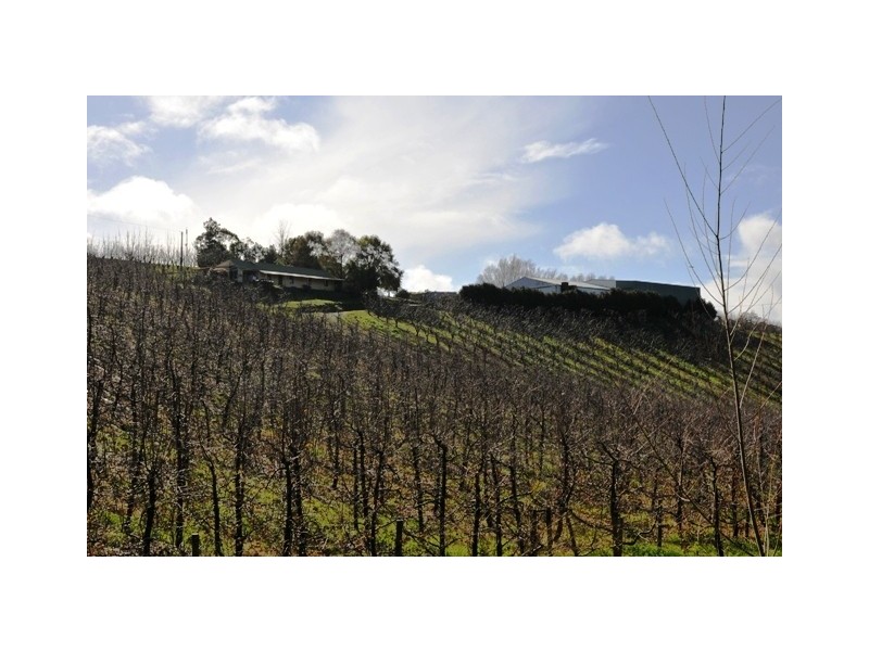 Lot 1 Stentiford Road, Forest Range SA 5139