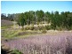 Lot 1 Stentiford Road, Forest Range SA 5139