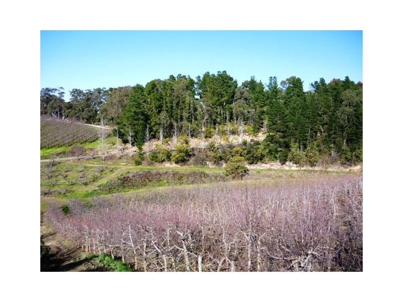 Lot 1 Stentiford Road, Forest Range SA 5139