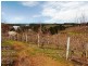 Lot 1 Stentiford Road, Forest Range SA 5139