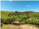 Lot 1 Stentiford Road, Forest Range SA 5139