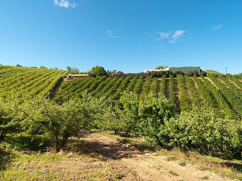 Lot 1 Stentiford Road, Forest Range SA 5139