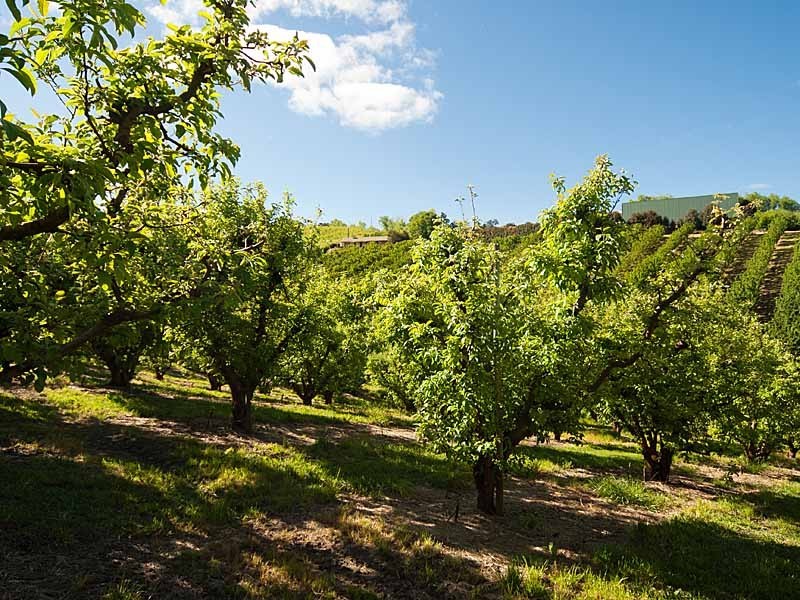 Lot 1 Stentiford Road, Forest Range SA 5139