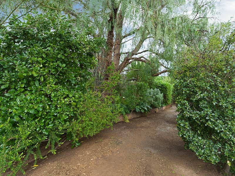 8 Queen Street, Strathalbyn SA 5255