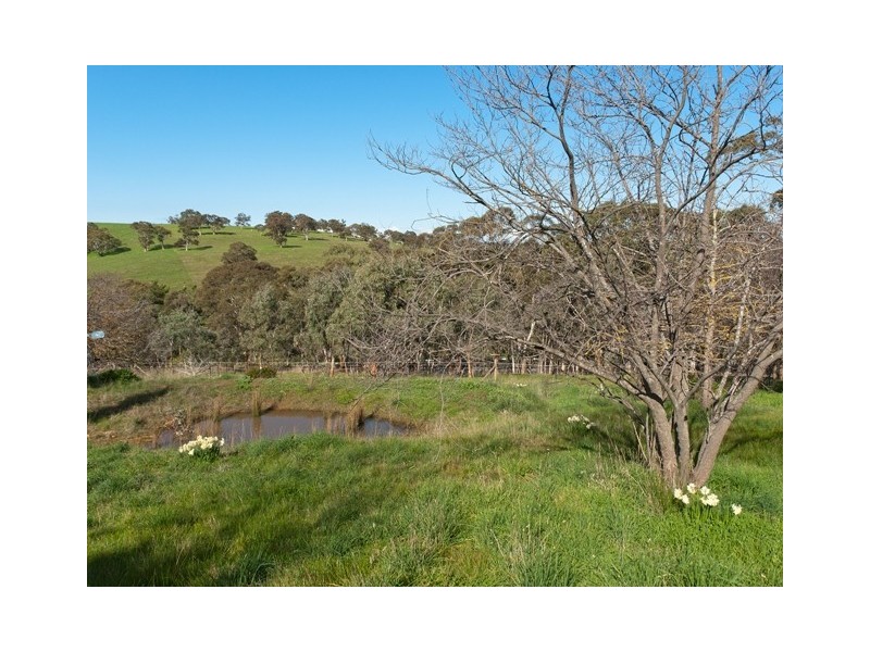 12 Bower Street, Dawesley SA 5252