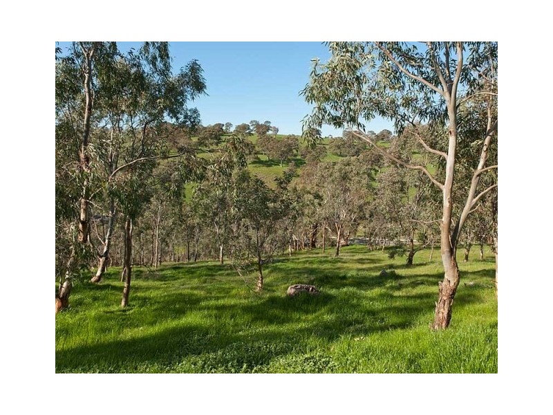 12 Bower Street, Dawesley SA 5252