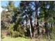 8 Walker Street, Macclesfield SA 5153
