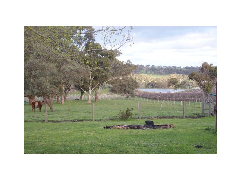 Lot 202 Buckleys Road, Lobethal SA 5241