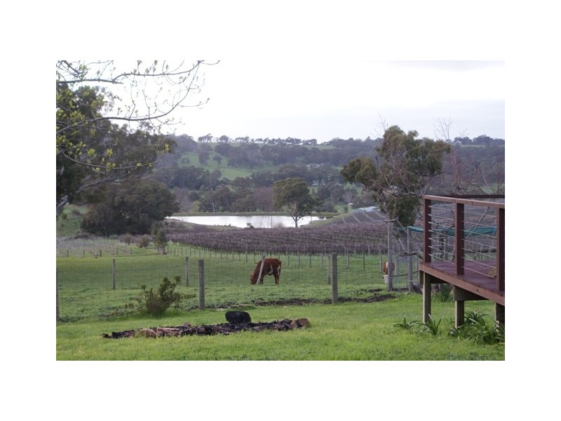Lot 202 Buckleys Road, Lobethal SA 5241
