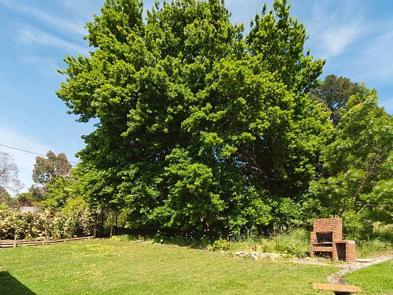 5 Adelaide-Lobethal Road, Lobethal SA 5241