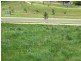 3 Hillcrest Court, Littlehampton SA 5250