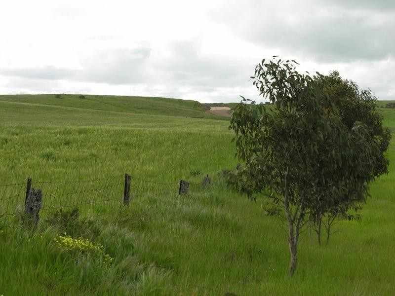 Lot 22 & 23,  Princes Highway, Callington SA 5254