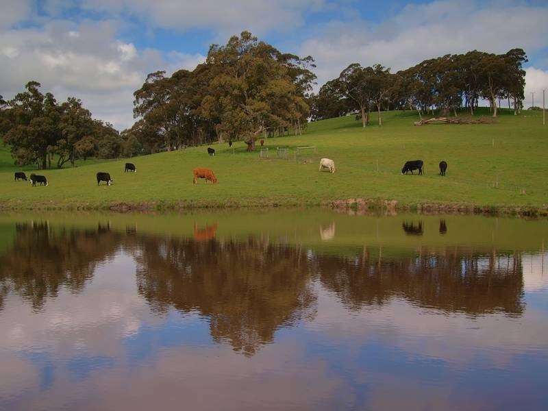 . Jacksons Hill Road, Gumeracha SA 5233