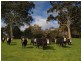 . Jacksons Hill Road, Gumeracha SA 5233