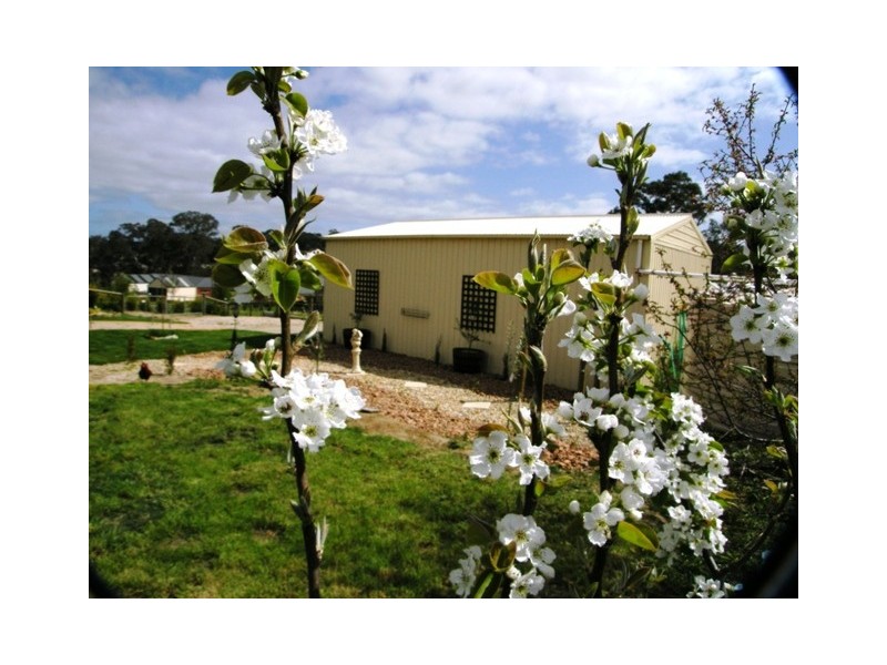 21 Durham Court, Mount Barker SA 5251