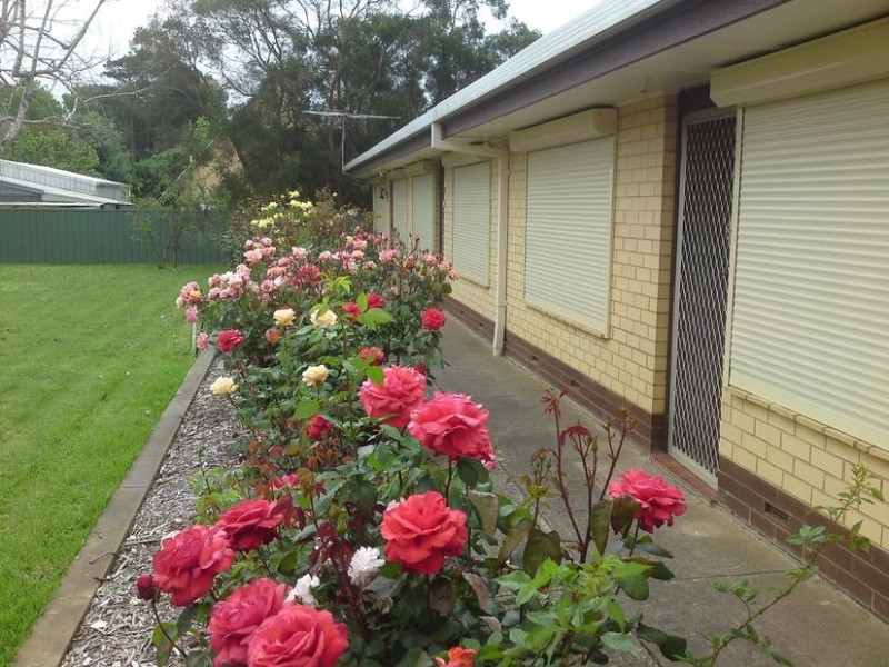 3/7 Knott Street, Mount Barker SA 5251