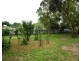 50 Hurling Drive, Mount Barker SA 5251