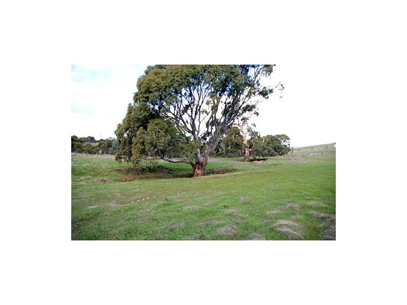 . Wirilda Road, Harrogate SA 5244
