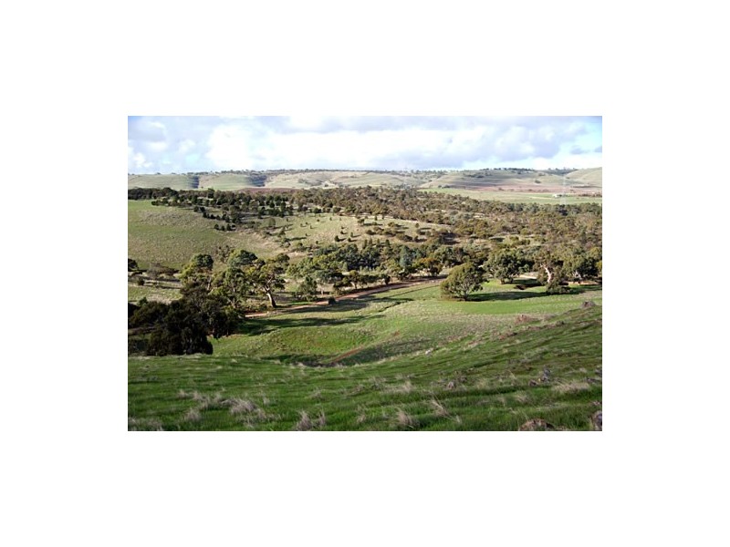 . Wirilda Road, Harrogate SA 5244