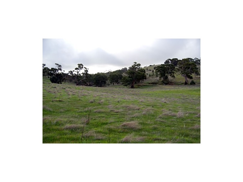 . Wirilda Road, Harrogate SA 5244