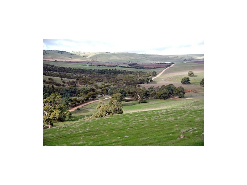 . Wirilda Road, Harrogate SA 5244