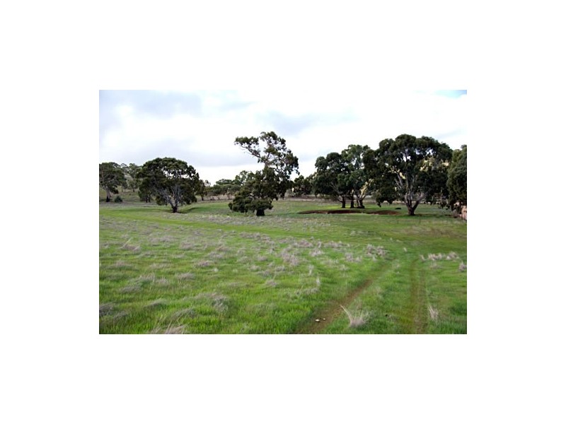 . Wirilda Road, Harrogate SA 5244