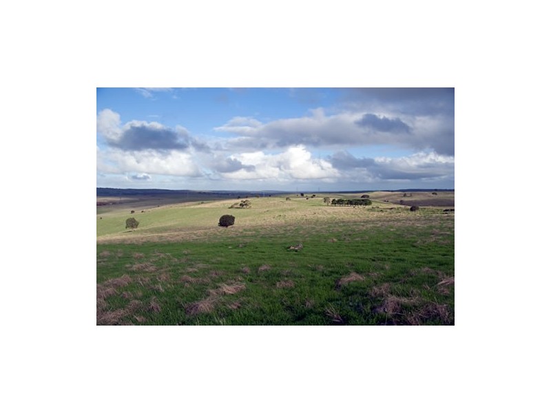 . Wirilda Road, Harrogate SA 5244