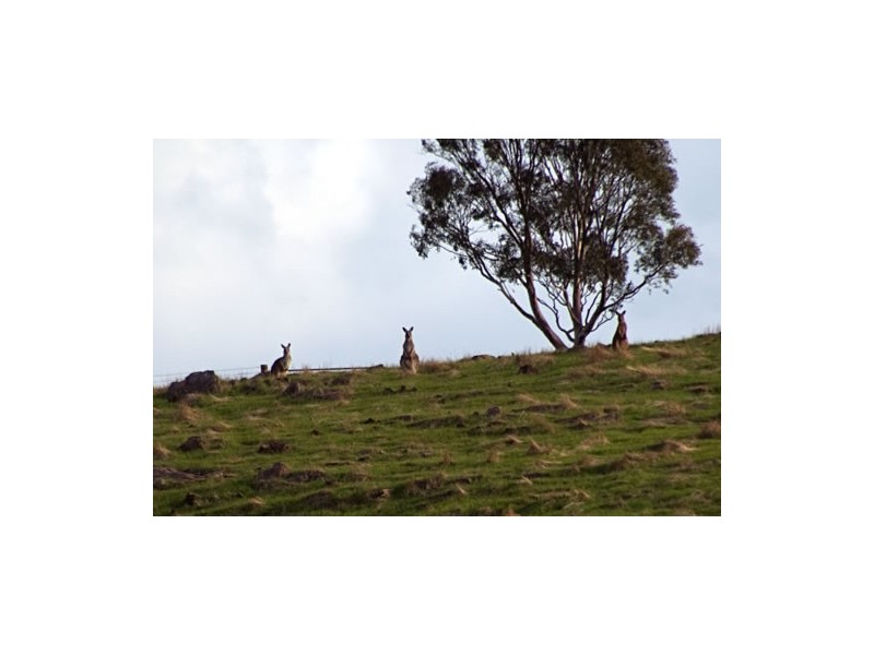 . Wirilda Road, Harrogate SA 5244