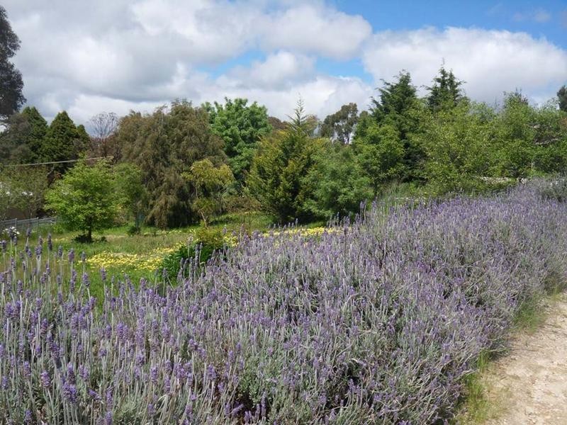 Lot 902 & 903,  Plowman Close, Nairne SA 5252