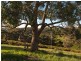 Lot 104,  Deviation Road, Forest Range SA 5139