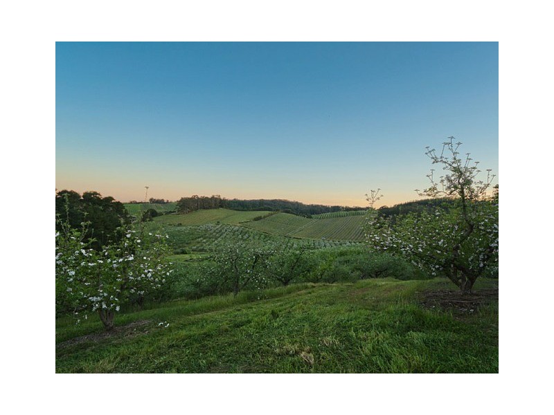 Lot 1 Hewletts Road, Forest Range SA 5139