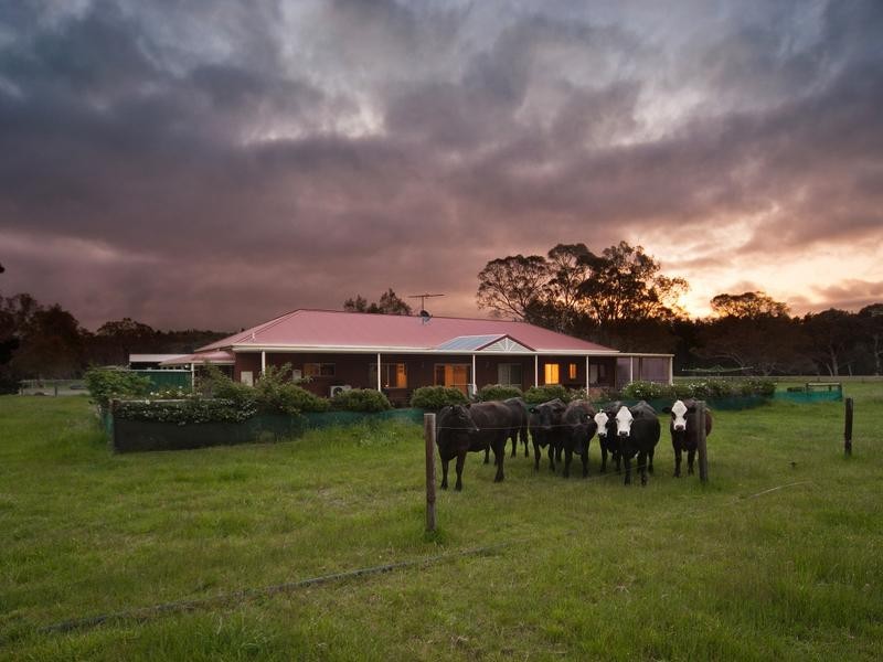 Lot 243 Brookman Road, Meadows SA 5201
