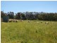 Lot 58 Netherhill Road, Gumeracha SA 5233