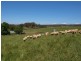 Lot 58 Netherhill Road, Gumeracha SA 5233
