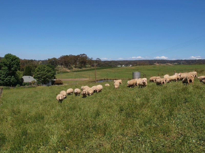Lot 58 Netherhill Road, Gumeracha SA 5233