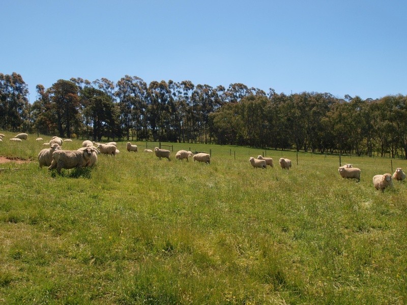 Lot 58 Netherhill Road, Gumeracha SA 5233